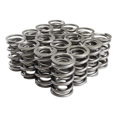 VALVE SPRINGS