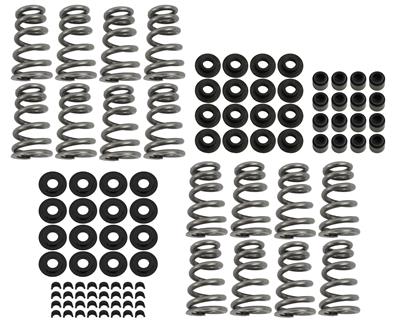 VALVE SPRING KIT