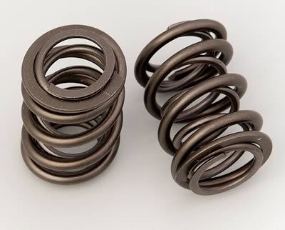 VALVE SPRINGS