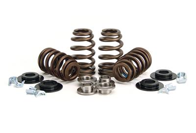 VALVE SPRING KIT  BEEHIVE W/TI