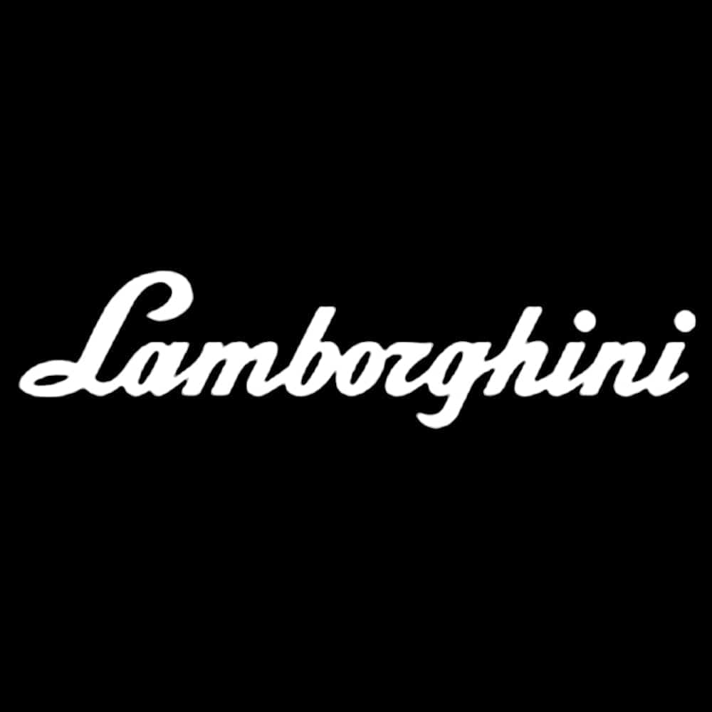 Lamborghini Aventador Premium Door Puddle Lights Various Designs 2011-2026