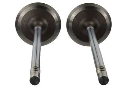 Ford Racing Coyote 5.2L Lightweight Intake Valve - Set of 8 M-6507-M52