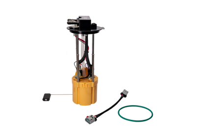 Photo - Primary