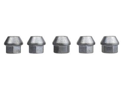 Ford Performance Parts Ford Racing 2015-2017 Mustange Open Back Lug Nut Kit
