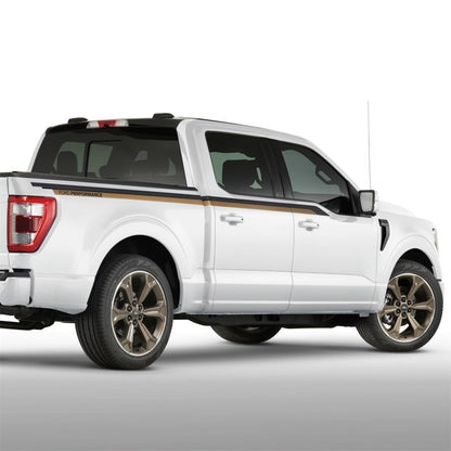 Ford Racing 15-23 F-150 22in Wheel Kit - Sinister Bronze M-1007K-S2295SB
