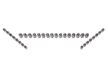 Ford Performance Parts Ford Racing Ford GT and Mustang SVT 5.4L Lash AdjusterS