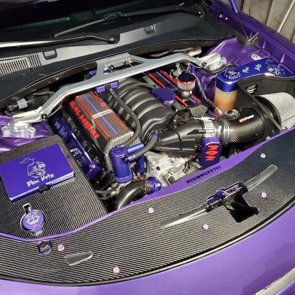 Dodge Charger Radiator Cover (2015-2023)