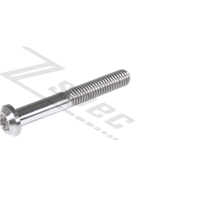 ZSPEC M6-1.0x45mm Dress Up Bolt® Fastener, Angled Head, Titanium Grade-5, Per Each