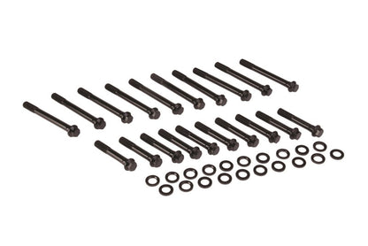 Ford Performance Parts Ford Racing BOSS Block Head Bolt Set