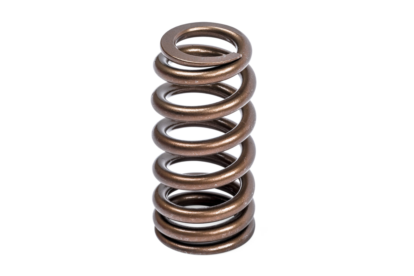 APR Valve Spring Kit (1 Set)
