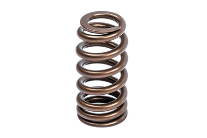 APR Valve Spring Kit (1 Set)