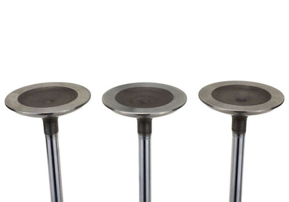 Ford Racing Coyote 5.2L Lightweight Intake Valve - Set of 8 M-6507-M52