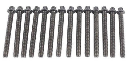 Cylinder Head Bolt Set 1991-2006 BMW 2.5L-3.0L