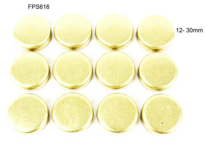 Expansion Plug Kit 1984-2004 INFINITI,Mercury,Nissan 3.0L-3.3L