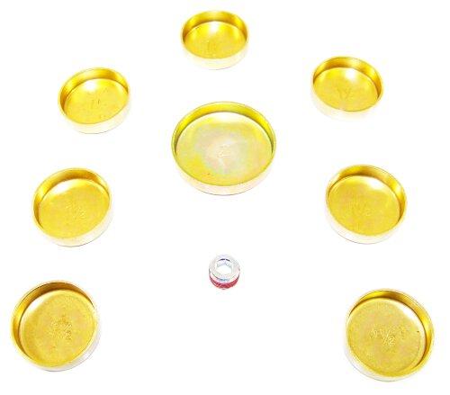 Expansion Plug Kit 1986-1992 Ford 2.9L