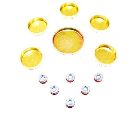 Expansion Plug Kit 1991-2008 Ford,Mazda,Mercury 3.0L