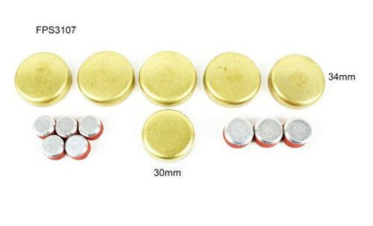 Expansion Plug Kit 1993-1995 Chevrolet,Pontiac 3.4L