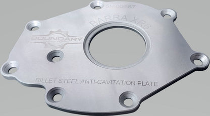 Boundary 02-16 Ford Barra XR6 Billet Back Plate BA-BBP
