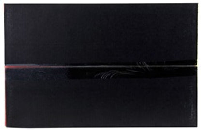 AEM Induction AEM C.A.S. 06-13 Lexus IS250 V6-2.5L F/I Cold Air Intake System 21-833C