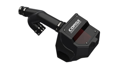 Corsa 15-19 Ford F150 2.7L & 15-16 3.5L Ecoboost V6 DryTech 3D Closed Box Air Intake 49627D