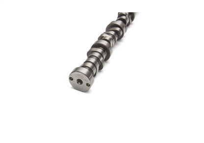 Ford Performance Parts Ford Racing Small Block V-8 Hydraulic Roller Tappet Camshafts