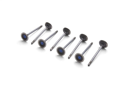 Ford Racing Coyote 5.2L Lightweight Exhaust Valve - Set of 8 M-6505-M52