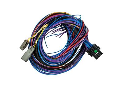 PEAK & HOLD PRO HARNESS