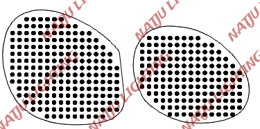 3rd Gen Lexus GS Taillight Boards (DIY ITEM)