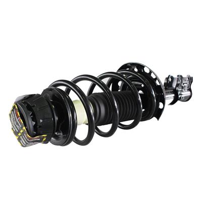 SHOCKS & STRUTS