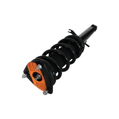 LOADED STRUT