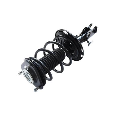 LOADED STRUT