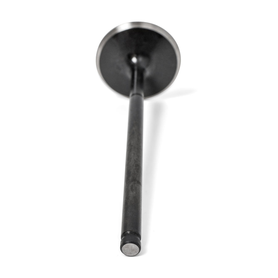 BLOX Racing High Compression 36mm Intake Valves - S2000 F20C/F22C