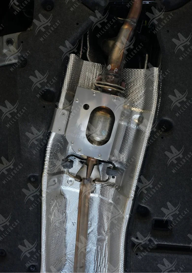 Toyota Highlander Non-Hybrid 2020-2022 Cat Shield