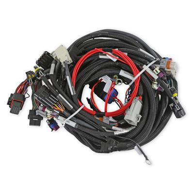 EXT LENGTH 58X LS MAIN HARNESS