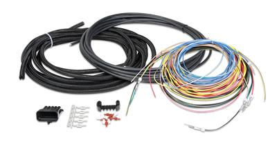 IGNITION WIRE HARNESS