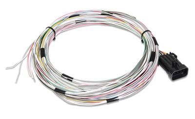 IGNITION WIRE HARNESS
