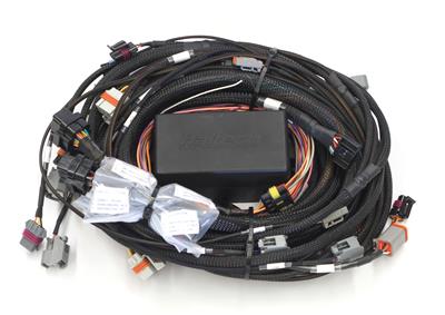 UNIVERSAL HARNESS