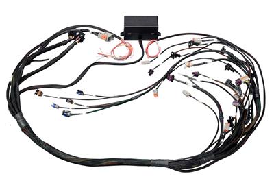 UNIVERSAL HARNESS