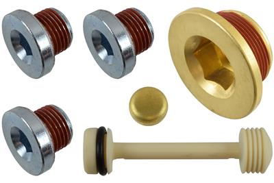 LS COOLANT/OIL PLUG KIT