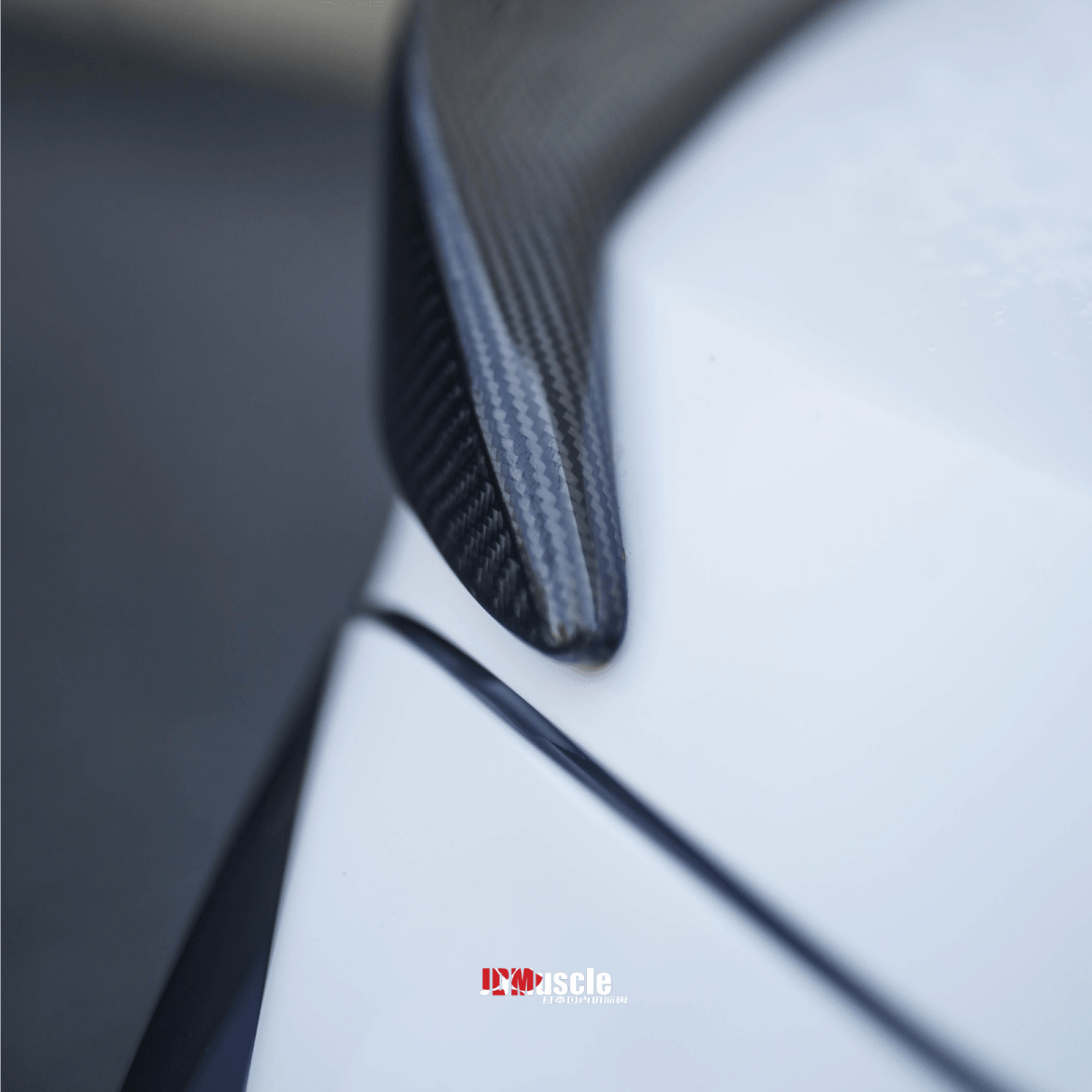 JDMuscle [22-26 WRX] Carbon Fiber Duck Bill V1