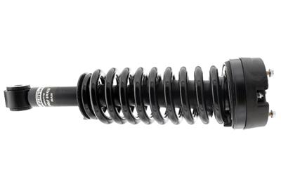 SHOCKS AND STRUTS