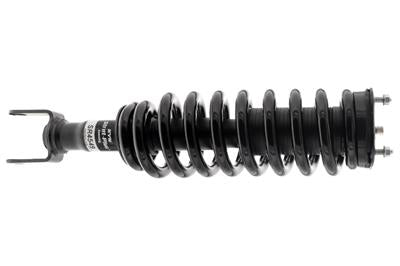 SHOCKS AND STRUTS