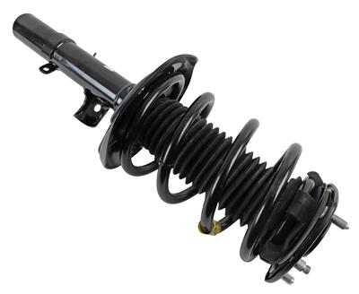 SHOCK / STRUT