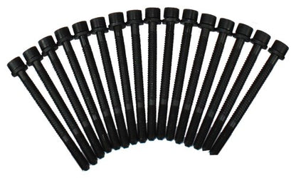 Cylinder Head Bolt Set 1992-1998 Audi 2.8L