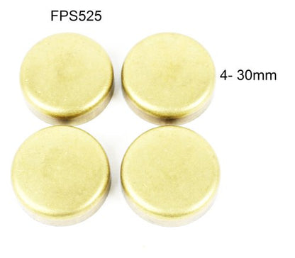 Expansion Plug Kit 1989-1995 Geo 1.6L