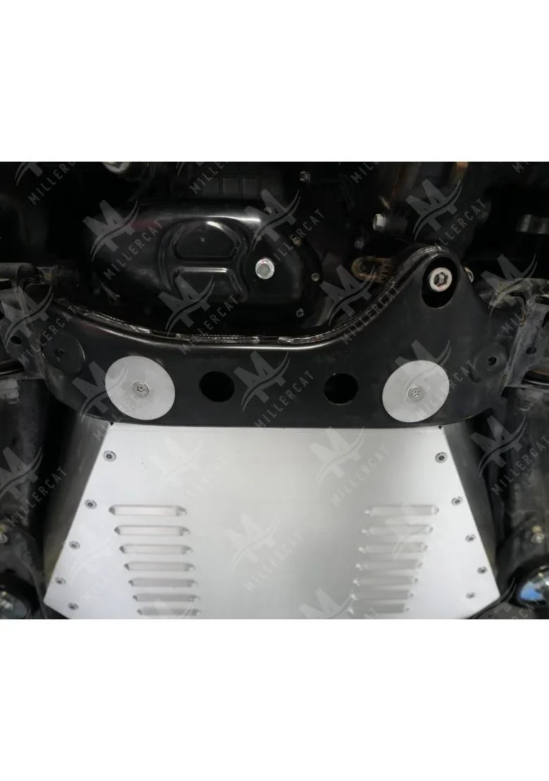 Lexus GX 460 2010-2023 Cat Shield