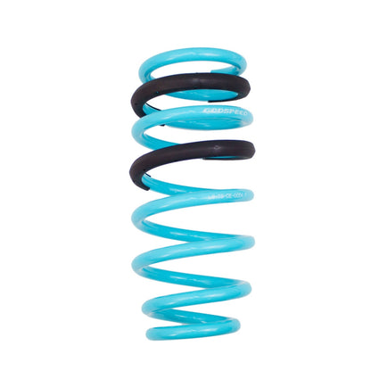 Godspeed Traction-S Performance Lowering Springs For Dodge Charger V8 RWD 2012-23 Witho Nivomat