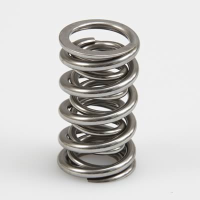 VALVE SPRING SET