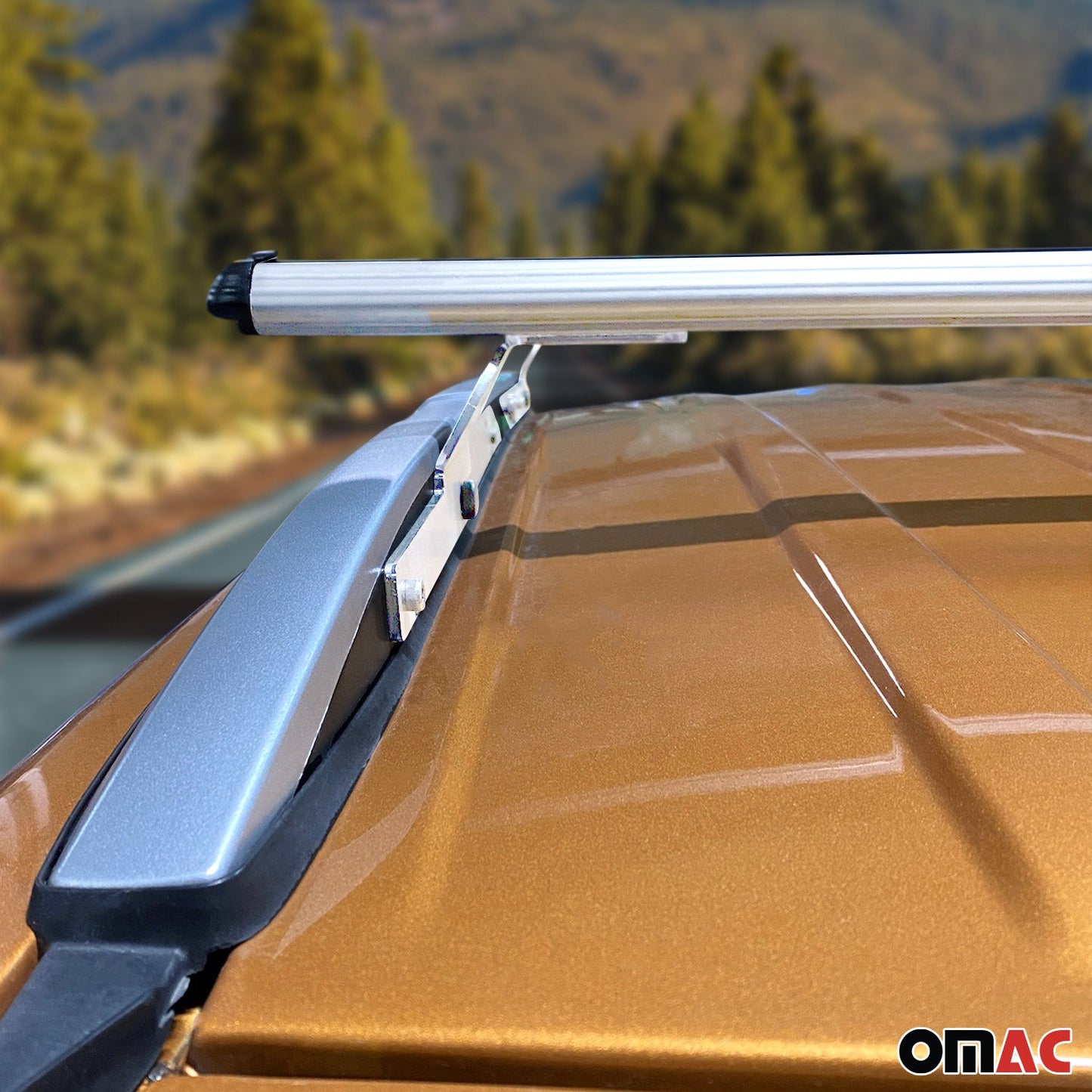 2018-2022 Ford Ecosport Roof Rack Cross Bars Silver