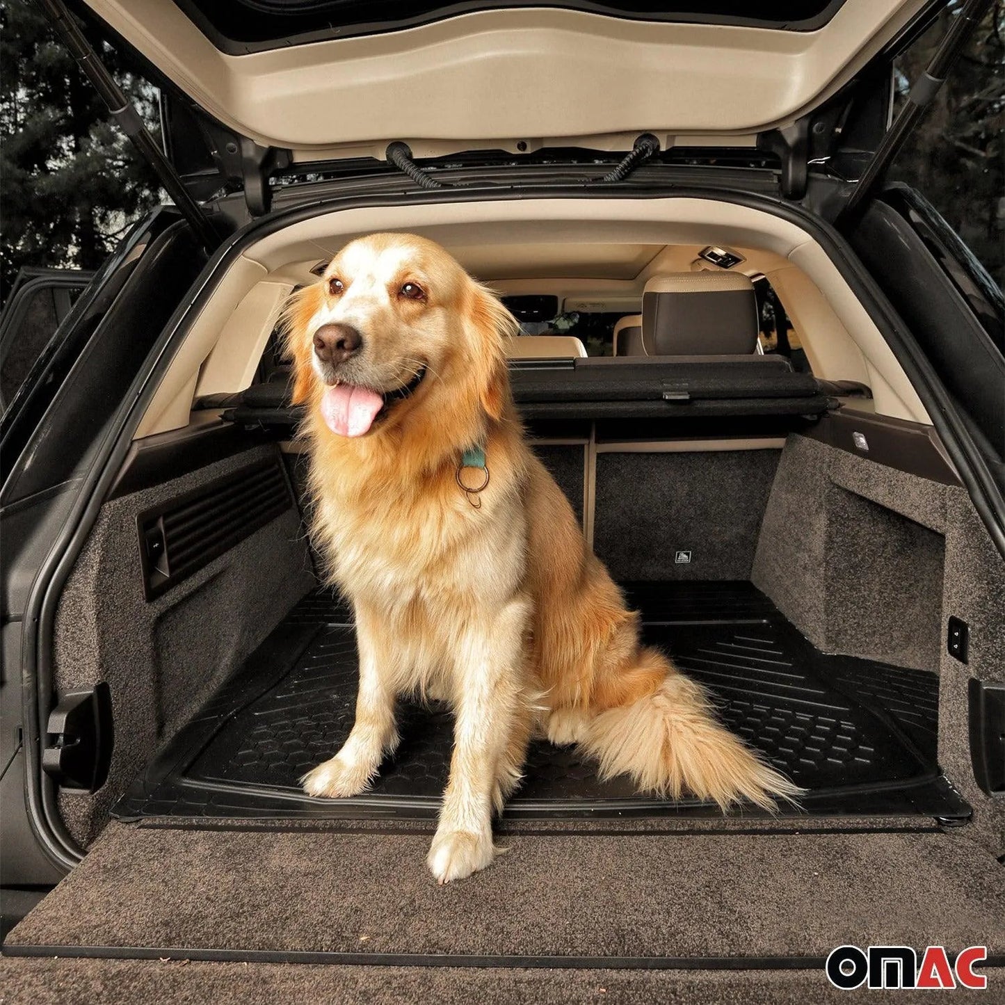 2000-2026 BMW X5 E53 E70 F15 F85 G05 Universal Cargo Mat Liner Waterproof Rubber Black 1Pc